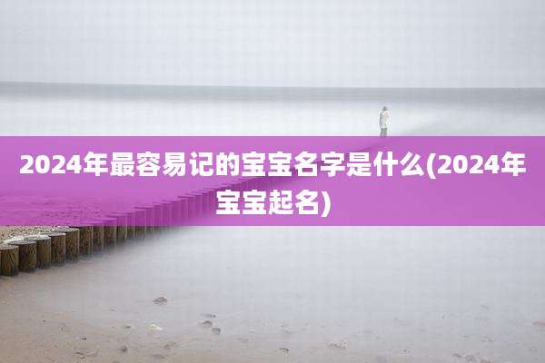 2024年最容易记的宝宝名字是什么(2024年宝宝起名)