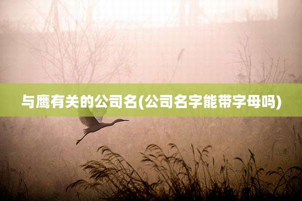 与鹰有关的公司名(公司名字能带字母吗)