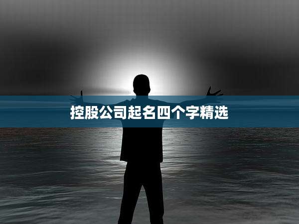 控股公司起名四个字精选