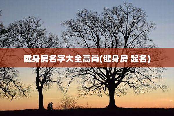 健身房名字大全高尚(健身房 起名)