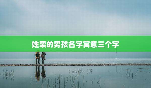 姓栗的男孩名字寓意三个字