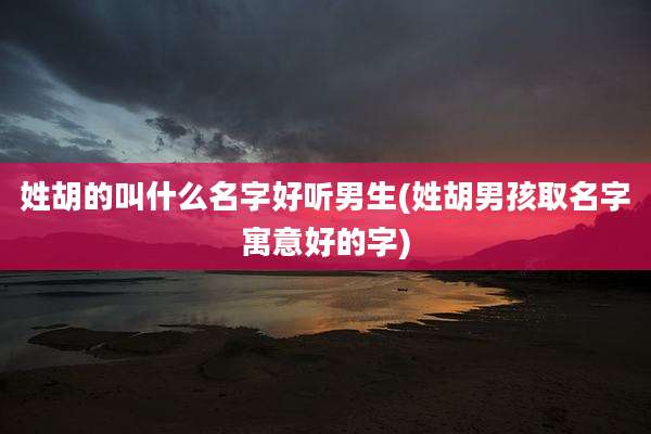 姓胡的叫什么名字好听男生(姓胡男孩取名字寓意好的字)
