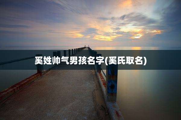 奚姓帅气男孩名字(奚氏取名)