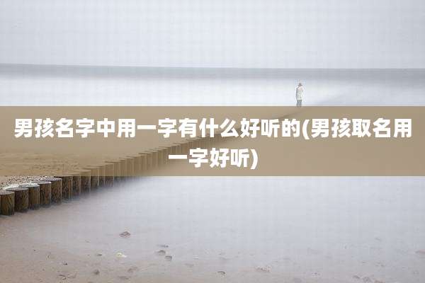 男孩名字中用一字有什么好听的(男孩取名用一字好听)