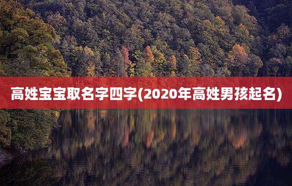 高姓宝宝取名字四字(2020年高姓男孩起名)