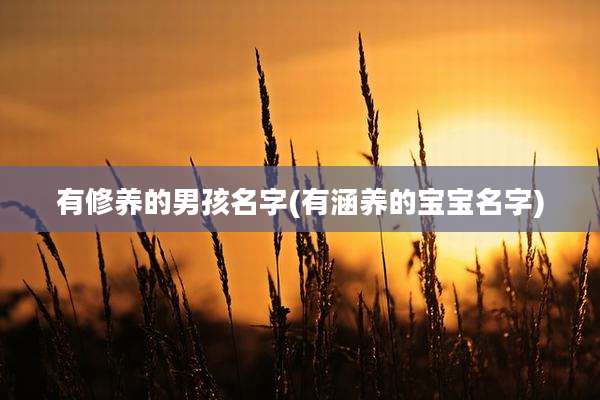 有修养的男孩名字(有涵养的宝宝名字)