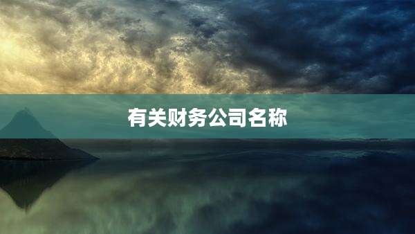 有关财务公司名称
