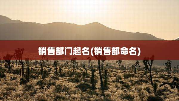 销售部门起名(销售部命名)
