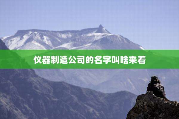 仪器制造公司的名字叫啥来着
