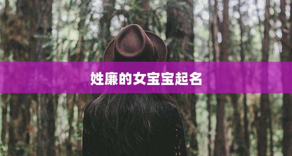 姓廉的女宝宝起名