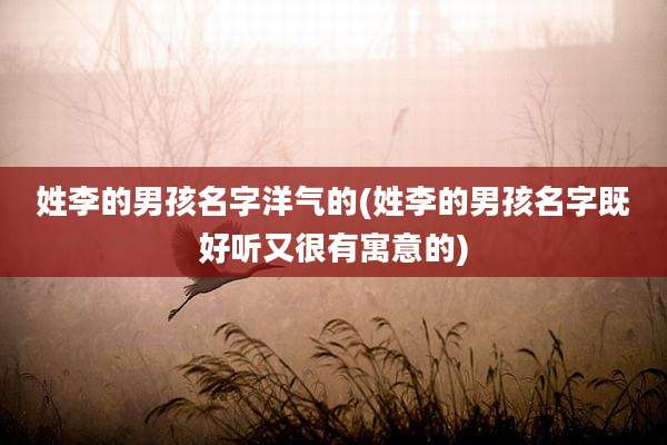 姓李的男孩名字洋气的(姓李的男孩名字既好听又很有寓意的)