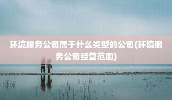 环境服务公司属于什么类型的公司(环境服务公司经营范围)