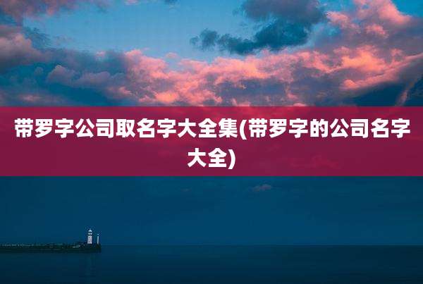 带罗字公司取名字大全集(带罗字的公司名字大全)