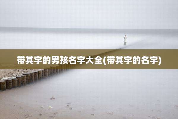 带其字的男孩名字大全(带其字的名字)