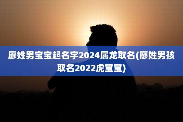 廖姓男宝宝起名字2024属龙取名(廖姓男孩取名2022虎宝宝)