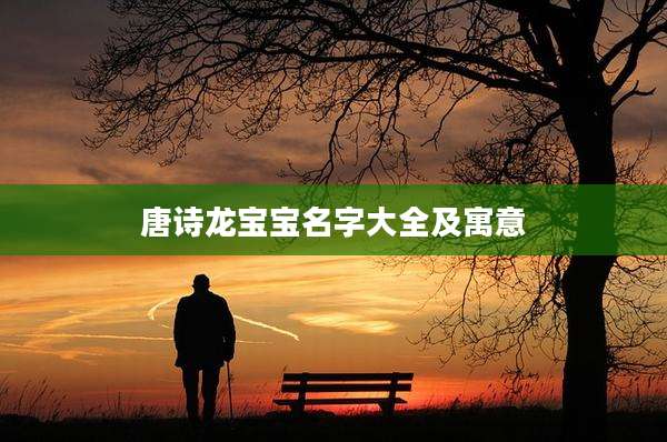 唐诗龙宝宝名字大全及寓意