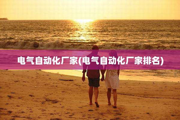 电气自动化厂家(电气自动化厂家排名)