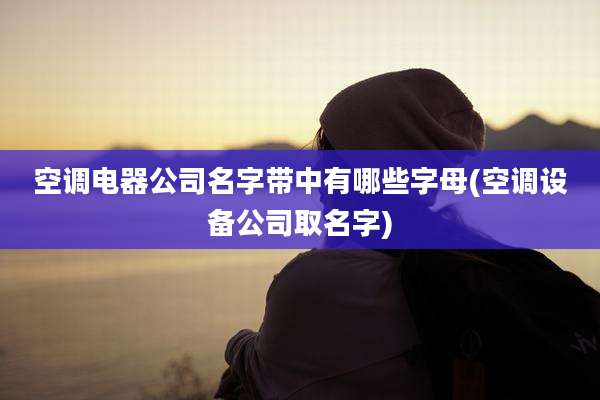 空调电器公司名字带中有哪些字母(空调设备公司取名字)