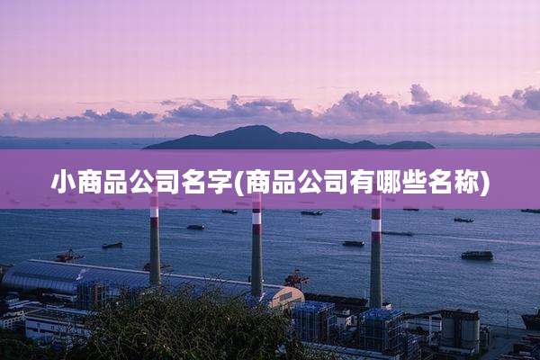 小商品公司名字(商品公司有哪些名称)