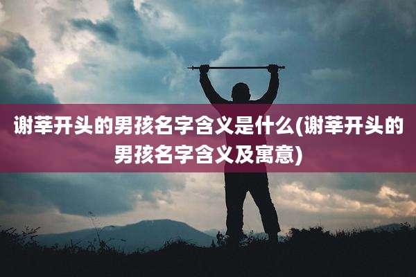 谢莘开头的男孩名字含义是什么(谢莘开头的男孩名字含义及寓意)