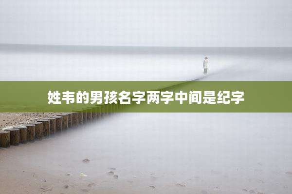 姓韦的男孩名字两字中间是纪字