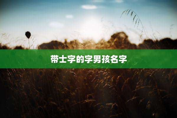 带士字的字男孩名字