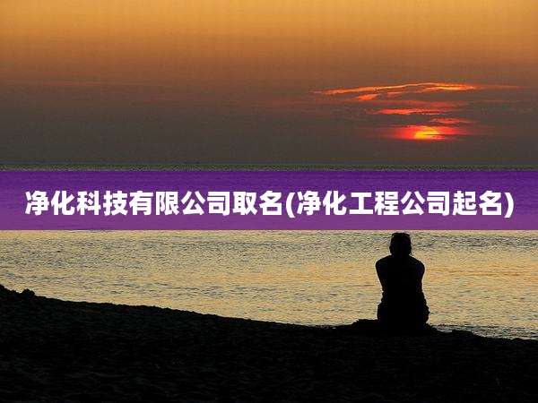 净化科技有限公司取名(净化工程公司起名)