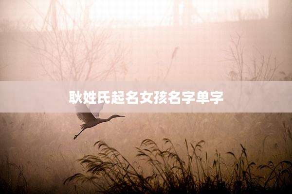 耿姓氏起名女孩名字单字