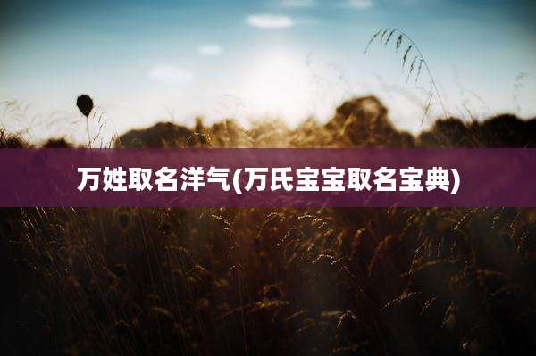 万姓取名洋气(万氏宝宝取名宝典)