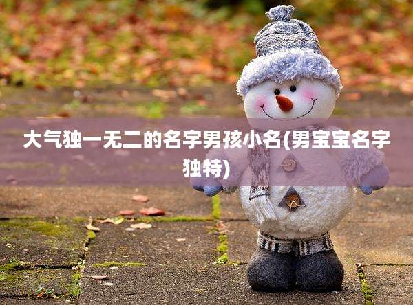 大气独一无二的名字男孩小名(男宝宝名字独特)