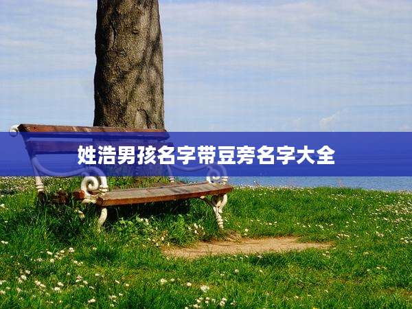 姓浩男孩名字带豆旁名字大全