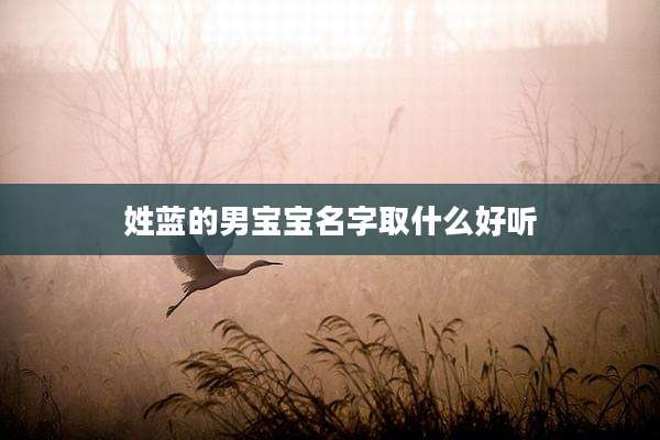 姓蓝的男宝宝名字取什么好听