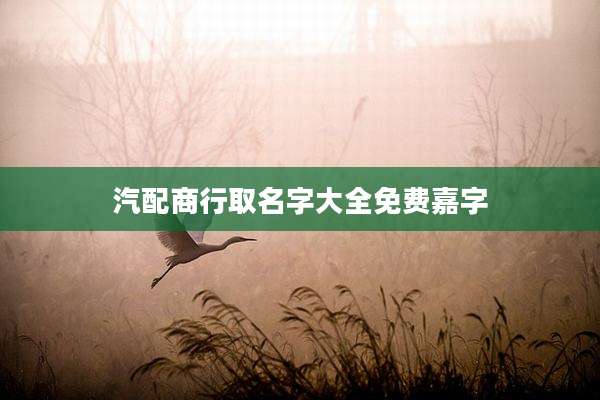 汽配商行取名字大全免费嘉字
