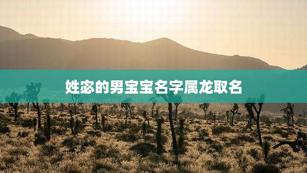 姓宓的男宝宝名字属龙取名