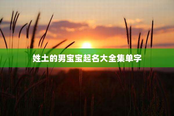 姓土的男宝宝起名大全集单字