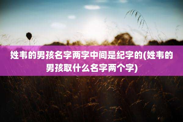 姓韦的男孩名字两字中间是纪字的(姓韦的男孩取什么名字两个字)