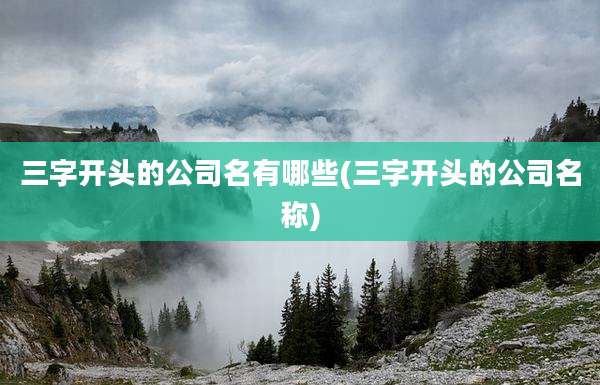 三字开头的公司名有哪些(三字开头的公司名称)