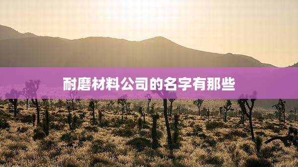 耐磨材料公司的名字有那些
