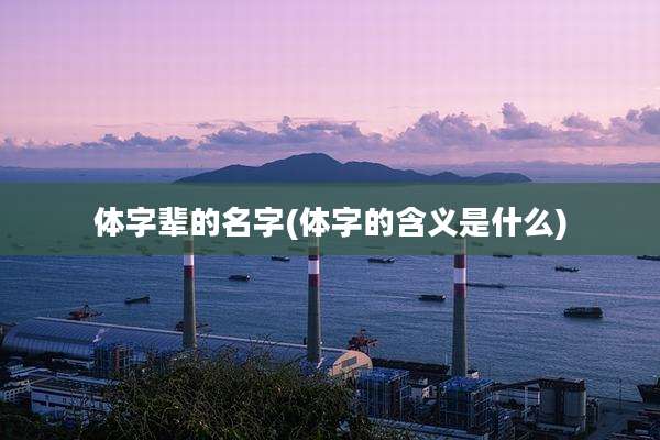 体字辈的名字(体字的含义是什么)
