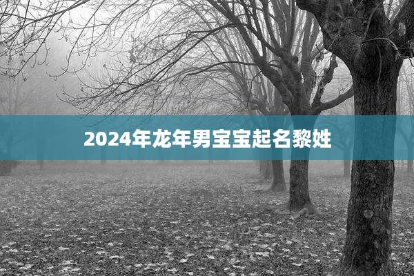 2024年龙年男宝宝起名黎姓
