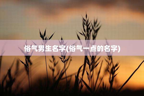 俗气男生名字(俗气一点的名字)