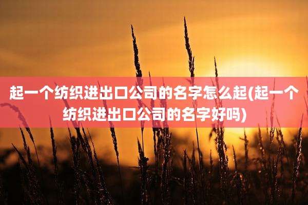 起一个纺织进出口公司的名字怎么起(起一个纺织进出口公司的名字好吗)