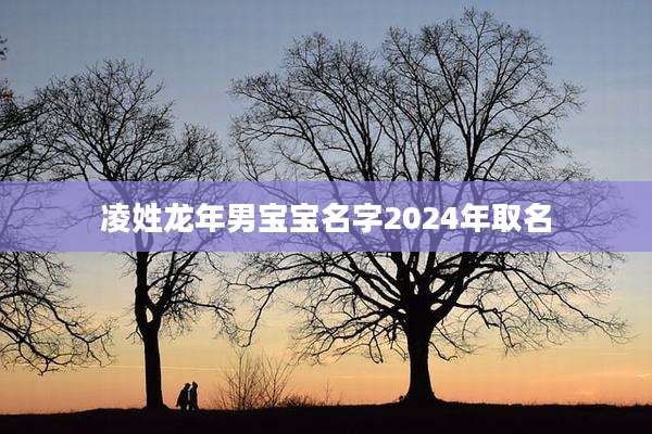 凌姓龙年男宝宝名字2024年取名