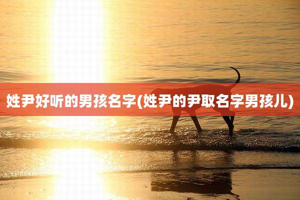 姓尹好听的男孩名字(姓尹的尹取名字男孩儿)