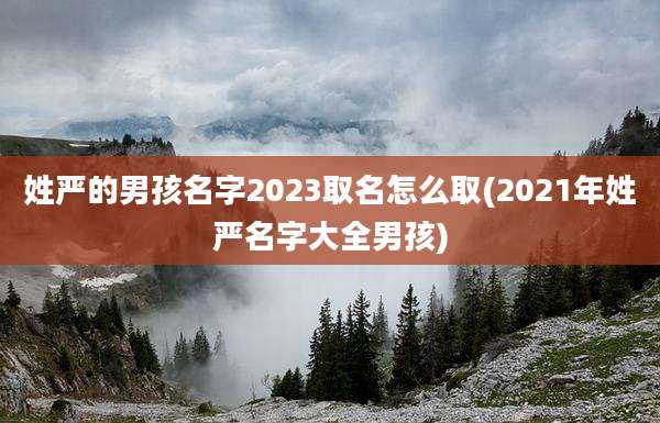 姓严的男孩名字2023取名怎么取(2021年姓严名字大全男孩)