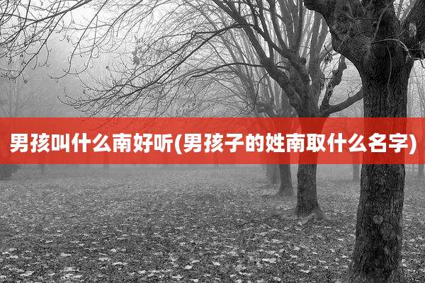 男孩叫什么南好听(男孩子的姓南取什么名字)