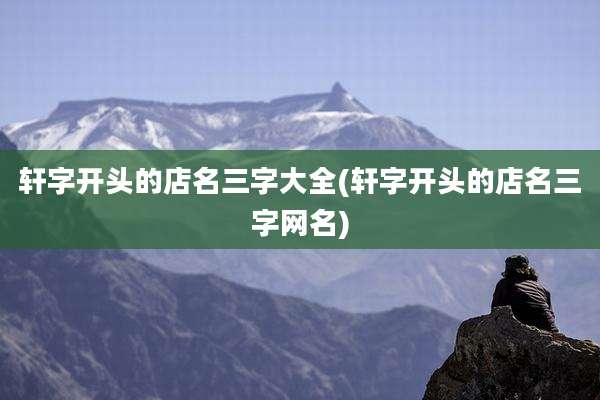轩字开头的店名三字大全(轩字开头的店名三字网名)