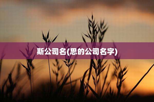 斯公司名(思的公司名字)