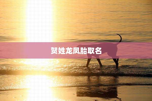 贺姓龙凤胎取名