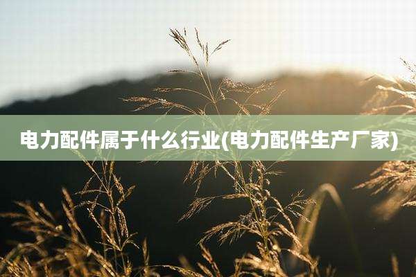 电力配件属于什么行业(电力配件生产厂家)